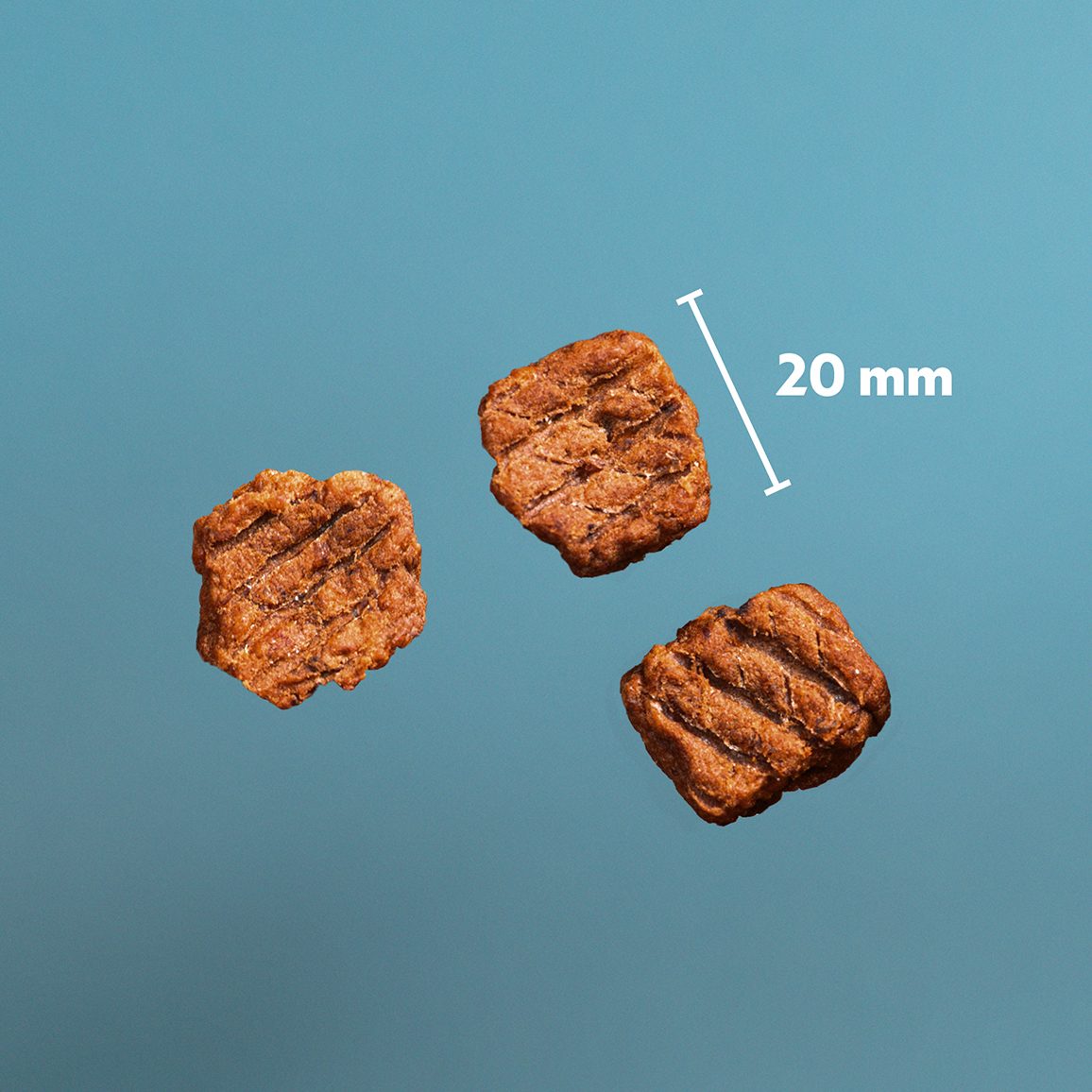 PrimaDog Northern Treats Bissen Rentier und Truthahn für Welpen und Training 150 Gramm - Hundesnacks
