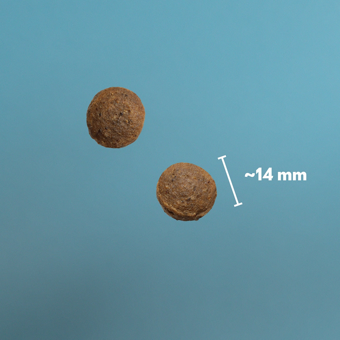 PrimaDog Hundefutter Ente & Hering 10 Kilo Adult Getreidefrei - Hundefutterbrocken