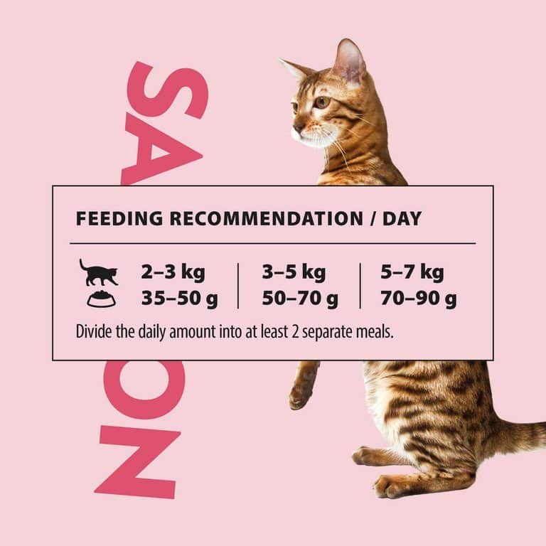 PrimaCat getreidefreies Katzenfutter Lachs 1,4 Kilo