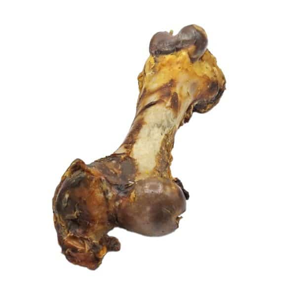dino XXL bot