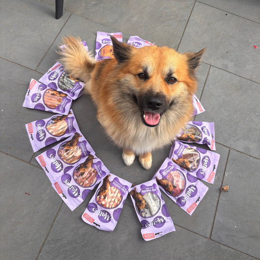 Matties Snack Pack | 16 pcs