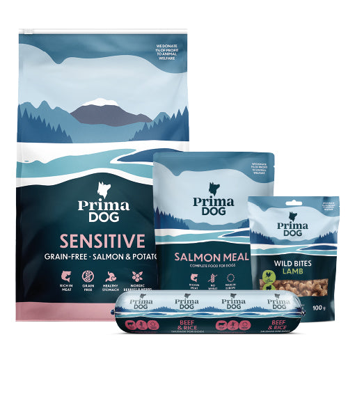 PrimaDog Probierpaket Lachs getreidefrei - Hundefutter