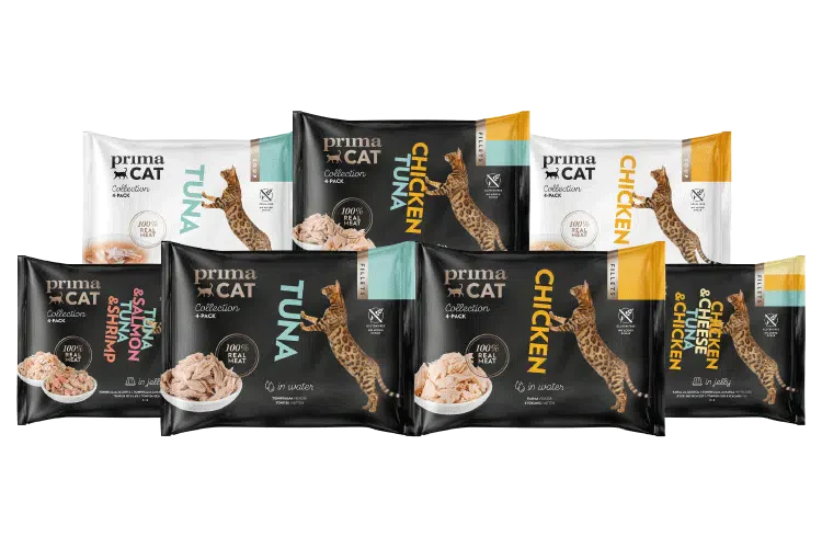 Kattensnacks
