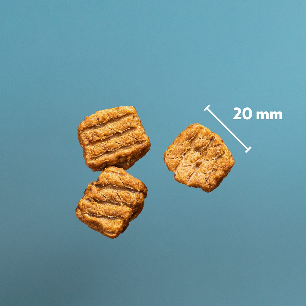 PrimaDog Northern Treats Bites Pute für Welpen & Training 150 Gramm - Hundesnacks