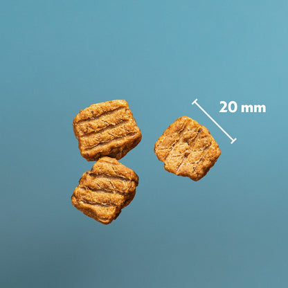 PrimaDog Northern Treats Bites Pute für Welpen & Training 150 Gramm - Hundesnacks