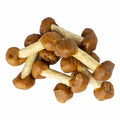 Billies Hundesnack: Hühnchen-Reis-Knochen