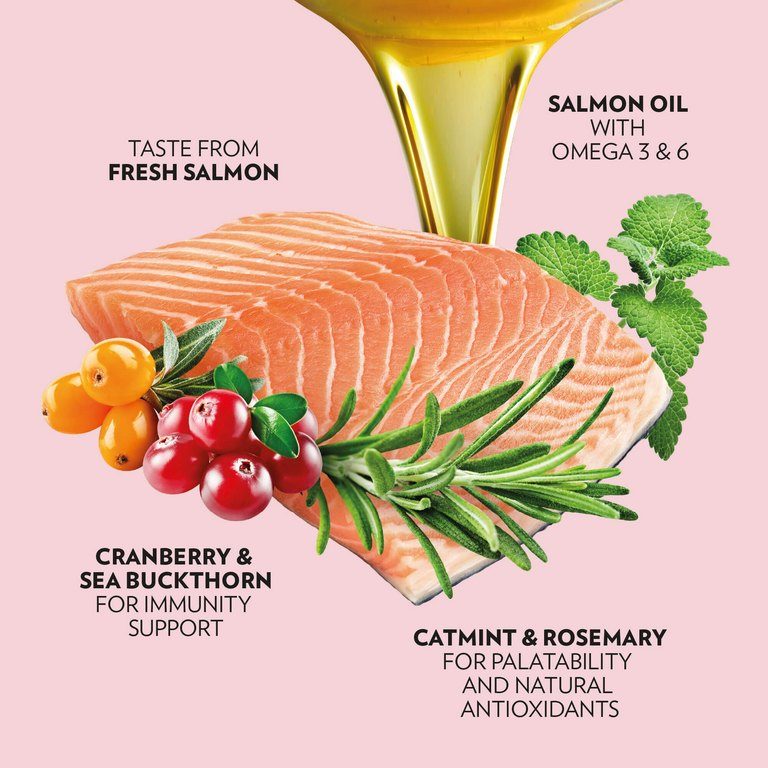 PrimaCat getreidefreies Katzenfutter Lachs Multipack 2 x 1,4 Kilo