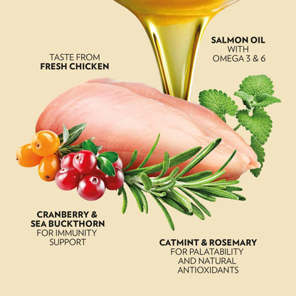 PrimaCat Katzenfutter Kitten Huhn 400 Gramm