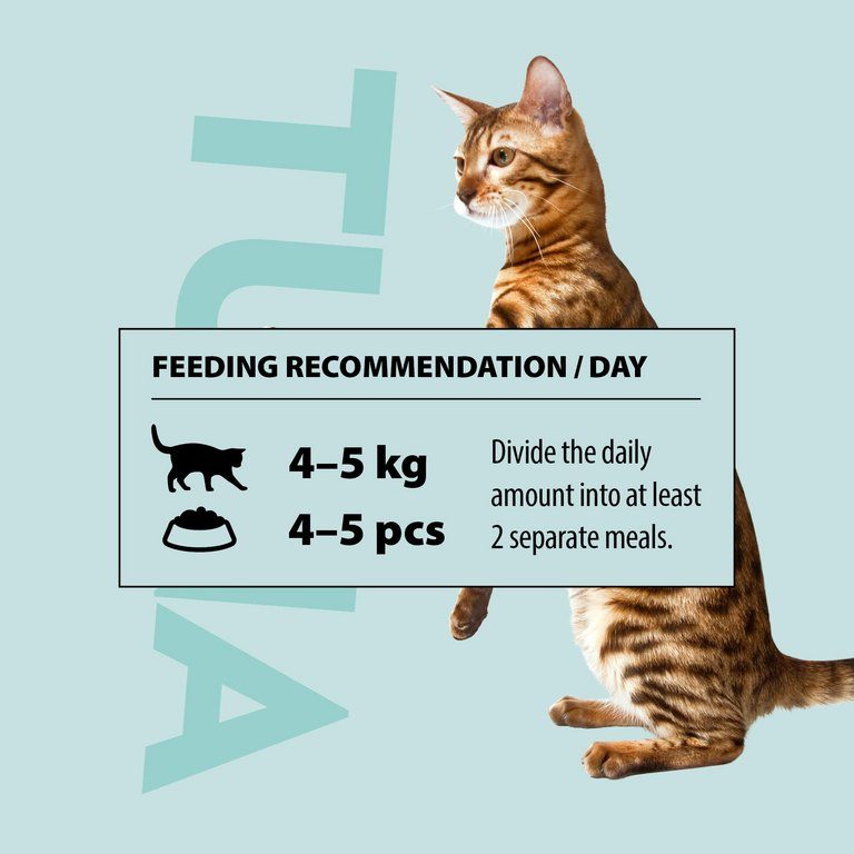 PrimaCat Katzenfutter Filets Thunfisch in Wasser 24 x 50 Gramm