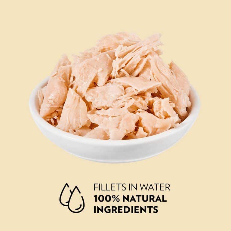 PrimaCat Katzenfutter Filets Huhn mit Käse in Gelee 24 x 50 Gramm