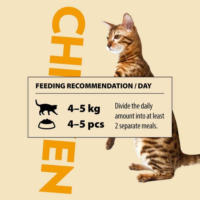 PrimaCat Katzenfutter Filets Huhn mit Käse in Gelee 24 x 50 Gramm
