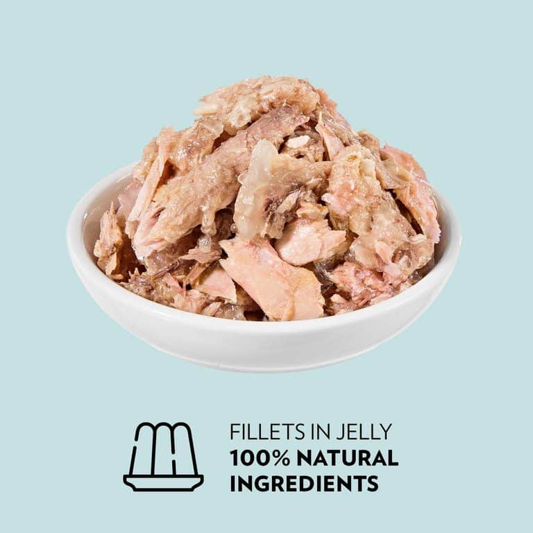 PrimaCat Katzenfutter Filets Thunfisch mit Huhn in Gelee 24 x 50 Gramm