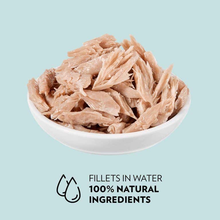 PrimaCat Katzenfutter Filets Thunfisch in Wasser 4 x 50 Gramm