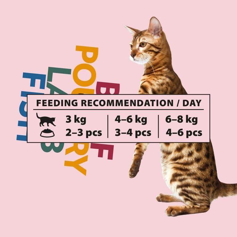 PrimaCat Vorteilspackung Nassfutter in Gelee, 12 x 85 Gramm