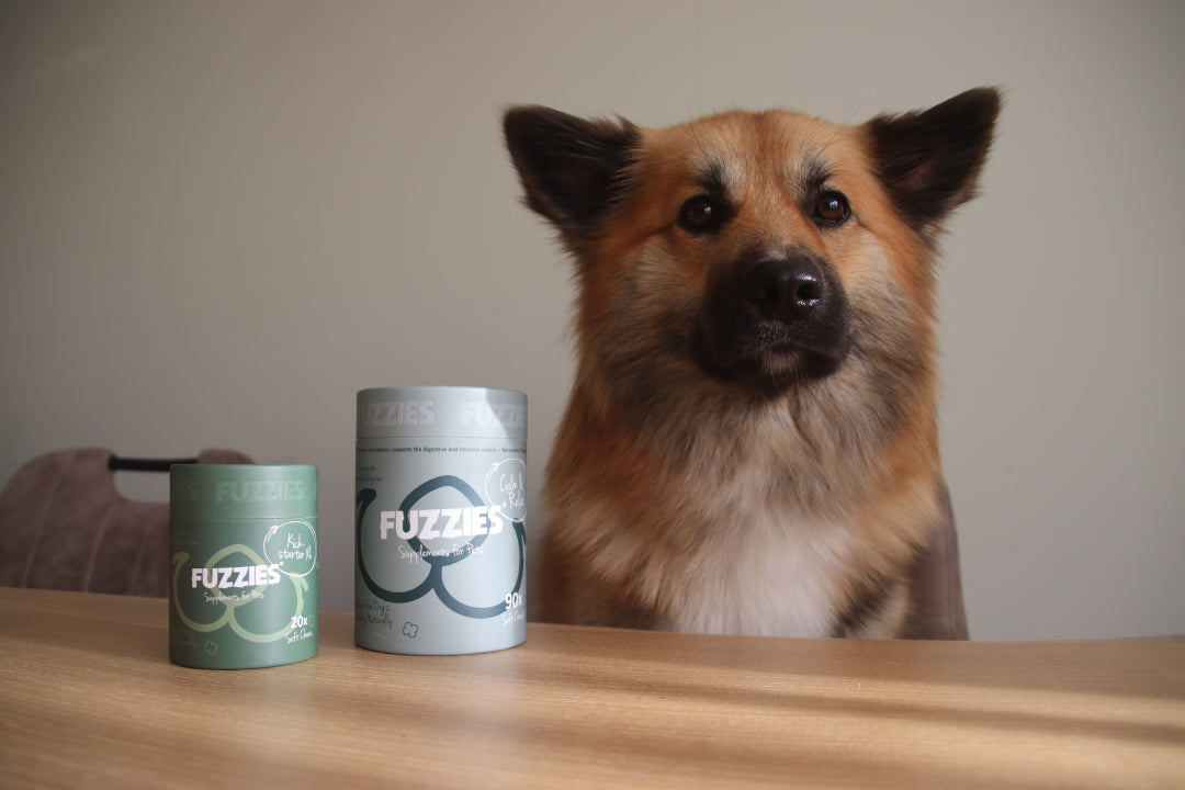Fuzzies Ruhe & Entspannung – Nahrungsergänzungsmittel für Hunde – 90 Stück