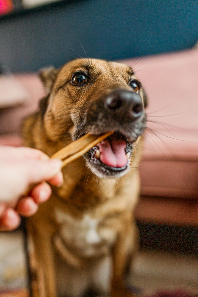 Billies Hundesnack Pferdekopfhaut 200 Gramm