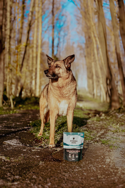 PrimaDog Hundefutter Nassfutter Lachs Beutel 260 Gramm - Nassfutter für Hunde