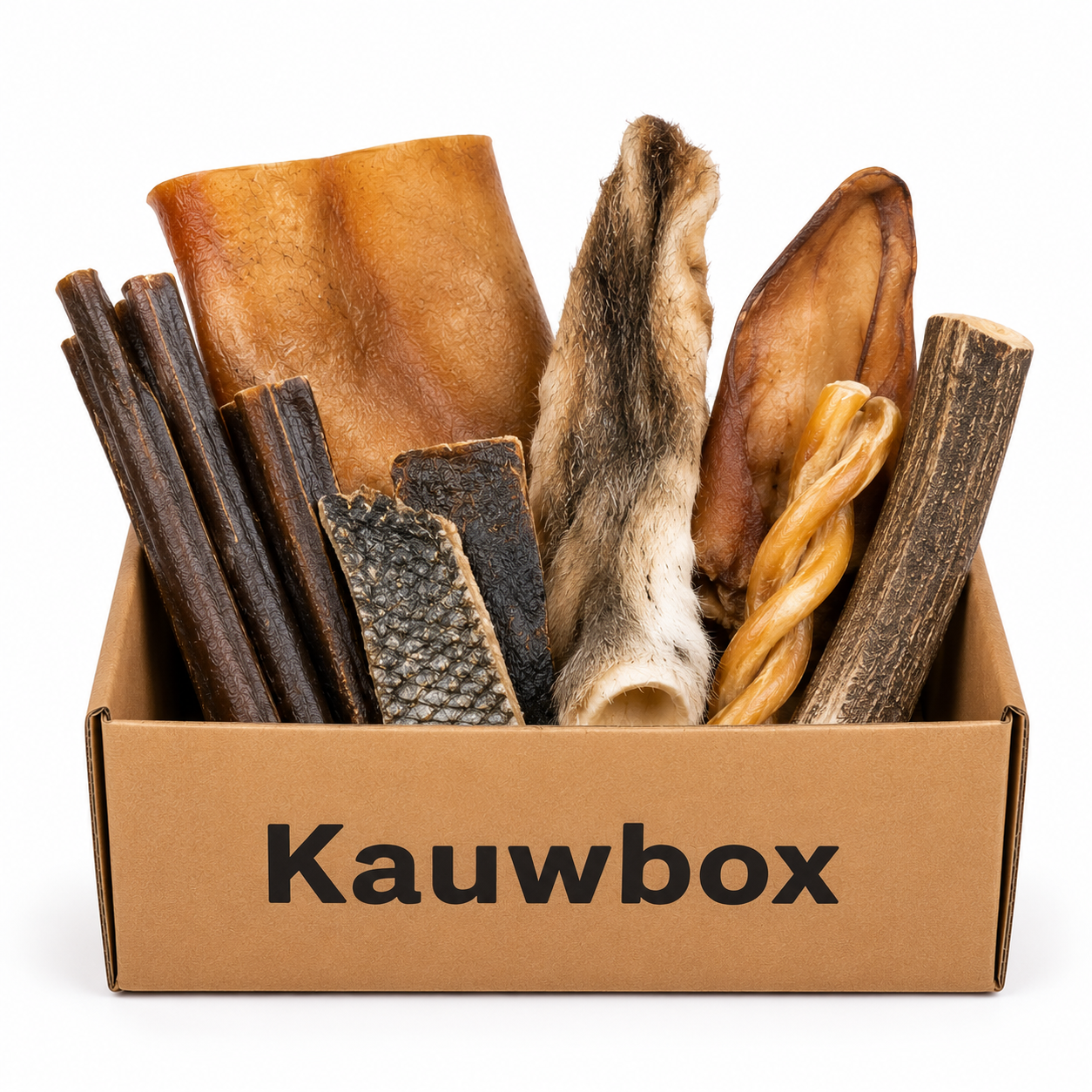 Kauspielzeugbox für ausgewachsene Hunde - Durchbeißer XL