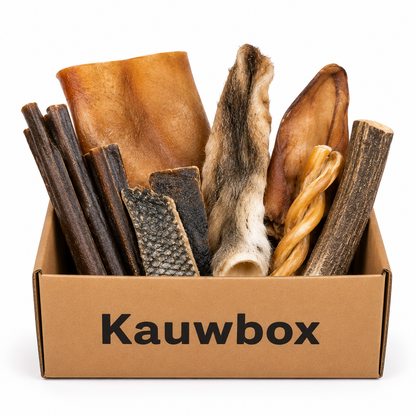 Kauspielzeugbox für ausgewachsene Hunde - Durchbeißer XL
