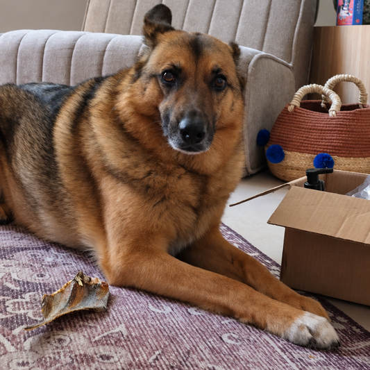 Fan-Favoriten-Box – Kiras Favoriten-Vorteilsbox