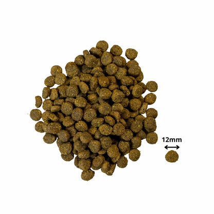 PrimaDog Hundefutter Lamm & Kartoffel 10 Kilo Adult - Hundefutterbrocken