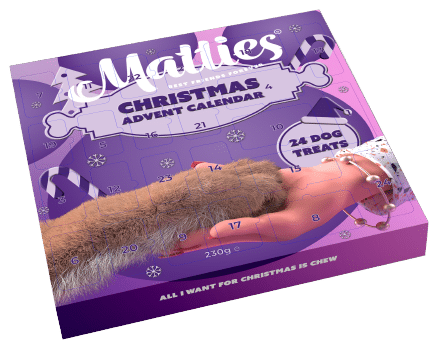 Matties Weihnachts-Adventskalender