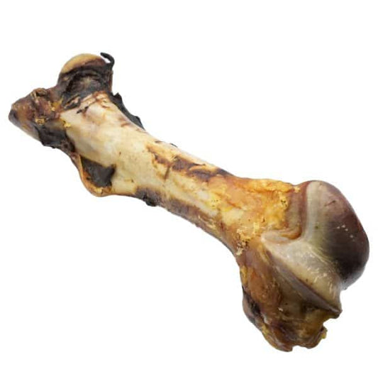 Paardendino