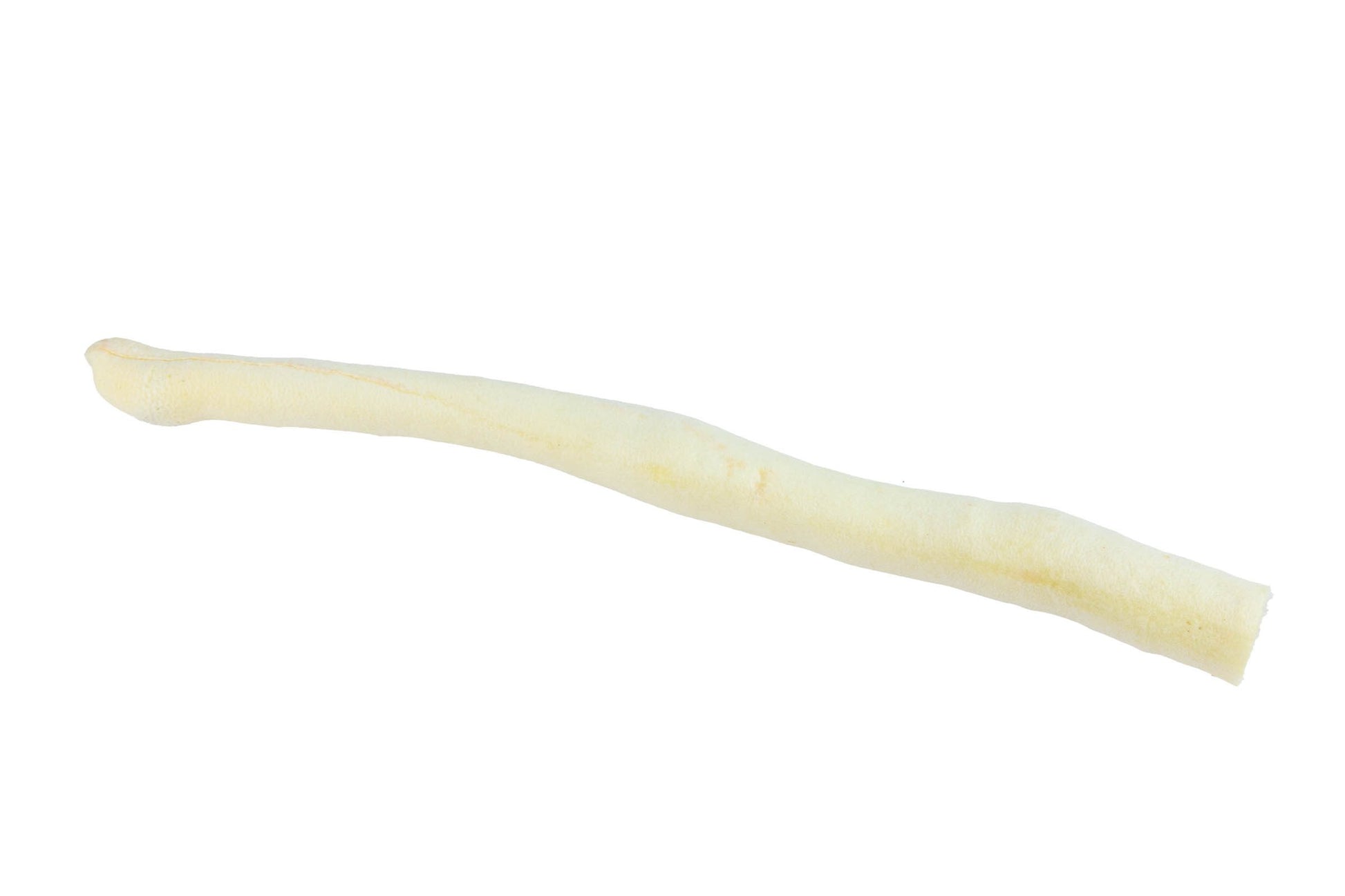 ossenstaart 35-45 cm