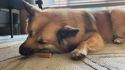 Fuzzies Ergänzungsfutter für Hunde | Sea Sticks Größe M – Ø 2 cm × 12,5 cm lang