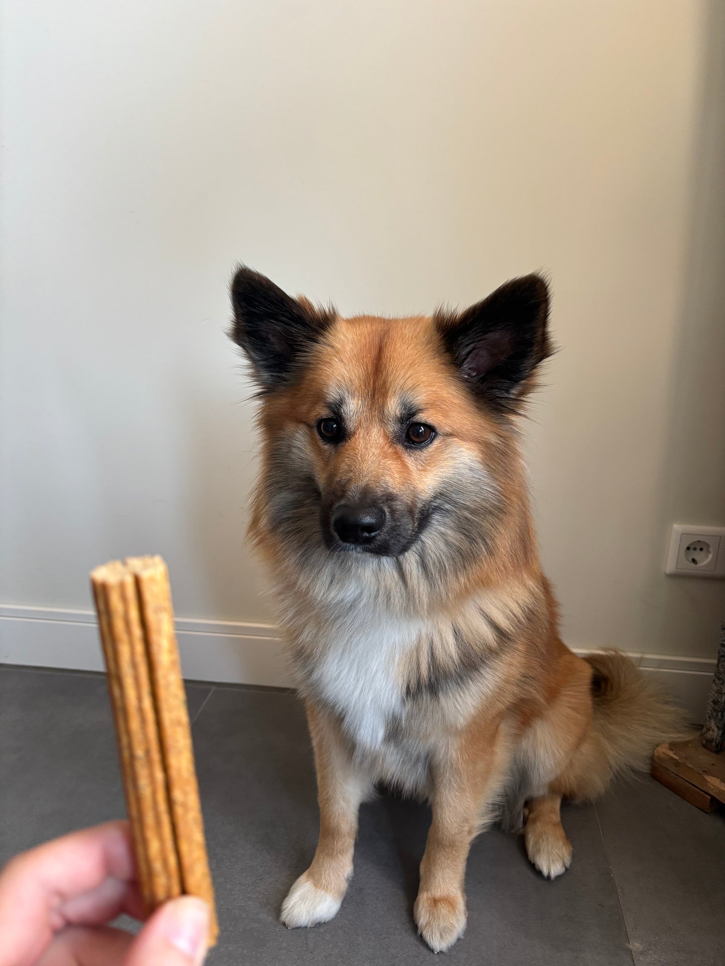 Fuzzies Ergänzungsfutter für Hunde | Sea Sticks Größe M – Ø 2 cm × 12,5 cm lang